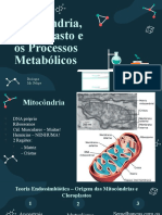 Aula 6 e 7 - Processos Metabólicos