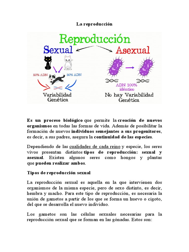 Tipos de Reproducción: Sexual y Asexual | PDF