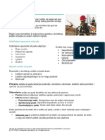 Fall Protection - Sa Prevodom