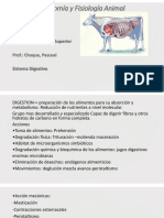 Digestivo - Anatomía y Fisiología Animal