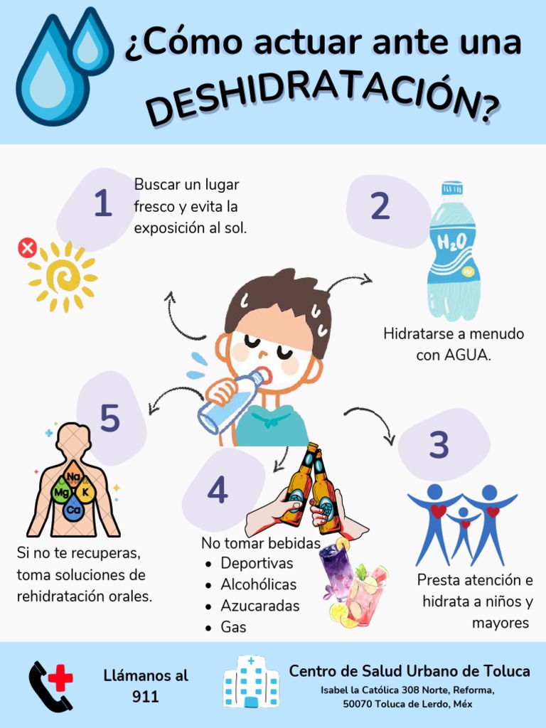 Cómo proteger a los gatos del golpe de calor y la deshidratación