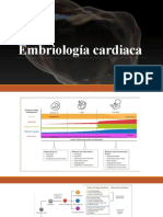 Embriologia Cardiaca