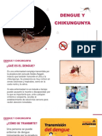Dengue y Chikungunya