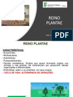 Aula 8 - Reino Plantae