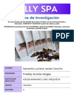 Informe de Proyecto Sama