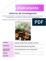 Informe de Proyecto Camila