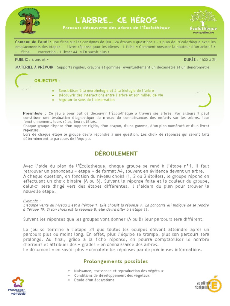 Jeu éducatif sur les arbres en maternelle | PDF | Arbres | Pin (plante)