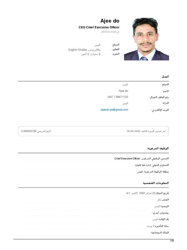 cv85505799 - Ajee Do - Chief Executive Officer | PDF