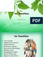 Los Tawahkas Presentacion Final