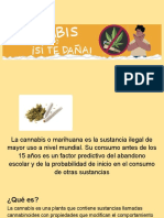 Cannabis Si T Daña