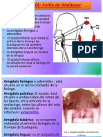 AMIGDALITIS-1