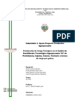 Segunda Etapa de Formulación y Elaboración Del Proyecto Productivo Agropecuario.