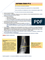 Sistema Óseo PT 2