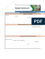 Plantilla de Evidencias Identificaicon Del Entorno 2021