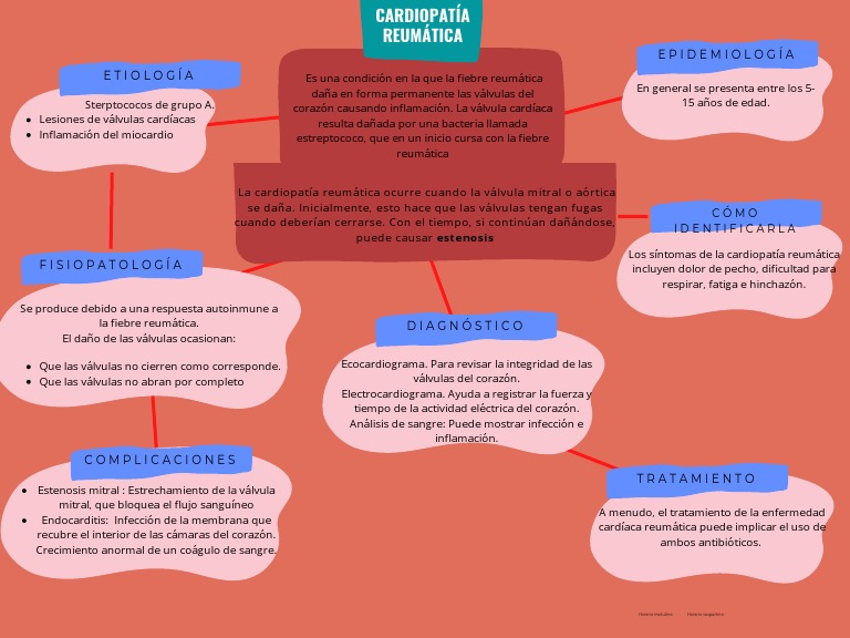 Cardiopatía Reumatica PDF Corazón Especialidades Medicas