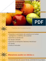 MICROBIOLOGÍA DE FRUTAS Y HORTALIZAS E-J 2023