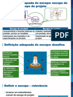 Definição Adequada Do Escopo - Conceitos, Desafios e Relevância