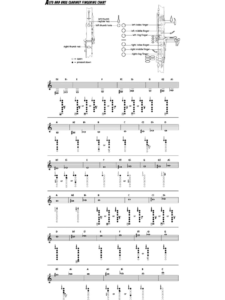 Bass - Clarinet Fingering Chart | PDF