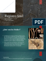 Registro Fósil
