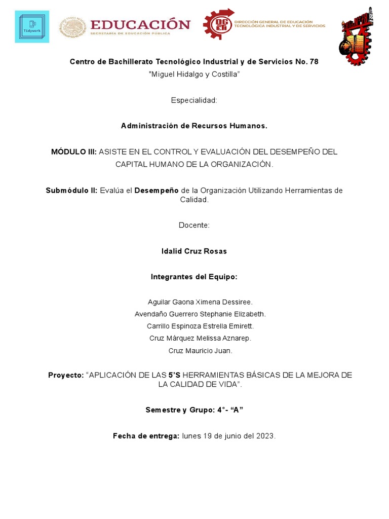 Aplicación De Las 5s Pdf