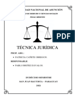 Tecnica Jurídica - Pablo Britez