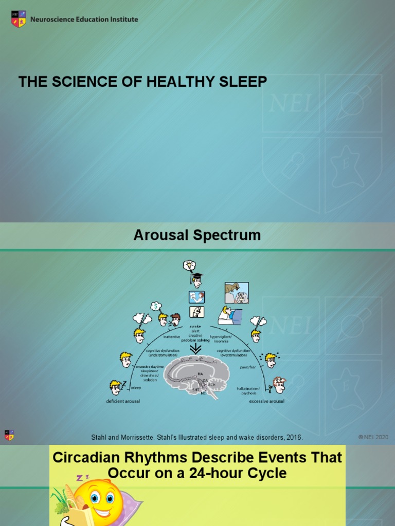 The Science of Healthy Sleep | PDF | Circadian Rhythm | Clock