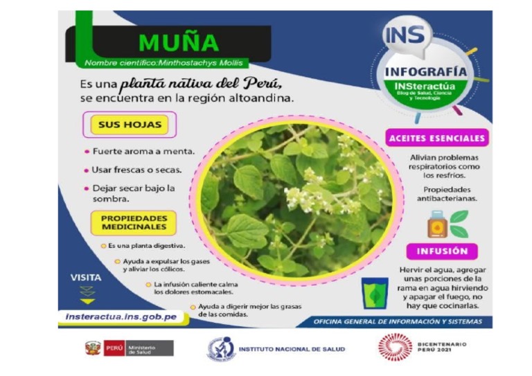 Infografía de La Muña | PDF