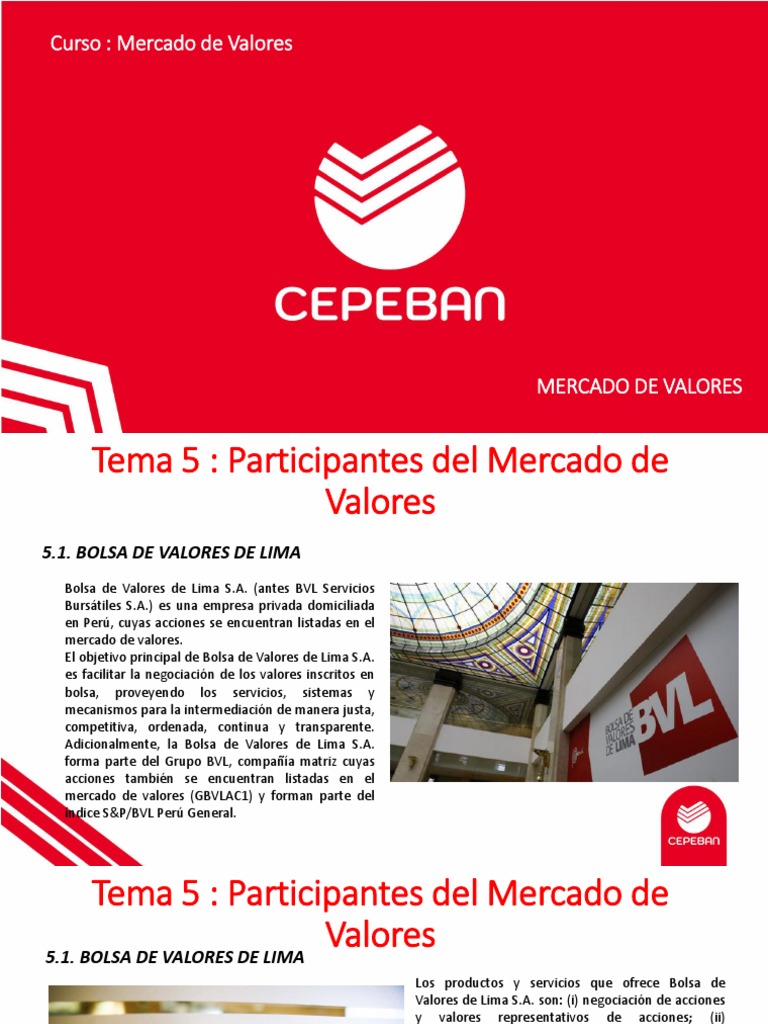 Participantes del Mercado de Valores | PDF | Bolsa | Bolsa de Valores