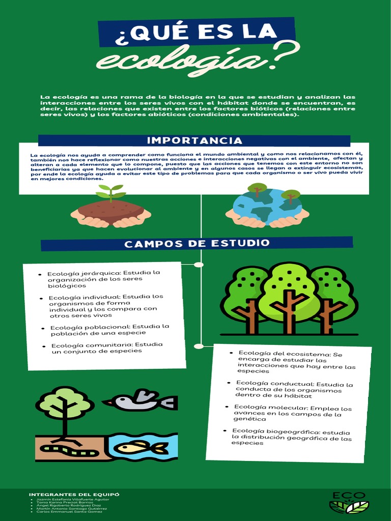 Icono De Logotipo Verde Abstracto De Hojas Verdes Para Tu Empresa. Símbolo  De La Pureza Y Naturalidad De La Ecología Ecológica Ilustración del Vector  - Ilustración de publicidad, sano: 230849804, image size:768x1024