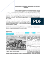 Material de Lectura. Topografía Del Casco Del Equino