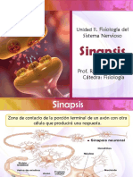 Sinapsis