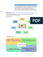 Infecciones Parasitarias PDF