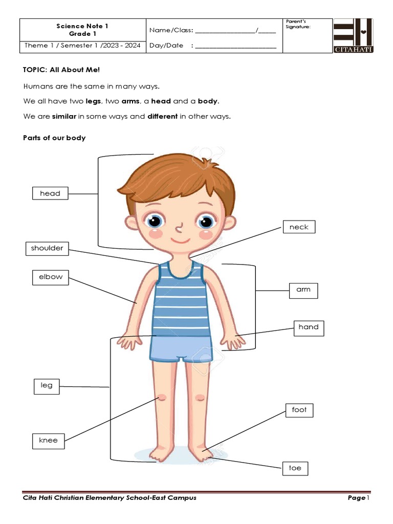 Body Parts for Grade 1 Science | PDF