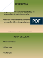 Diapositivas MPS Final