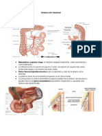 Obstrucción Intestinal