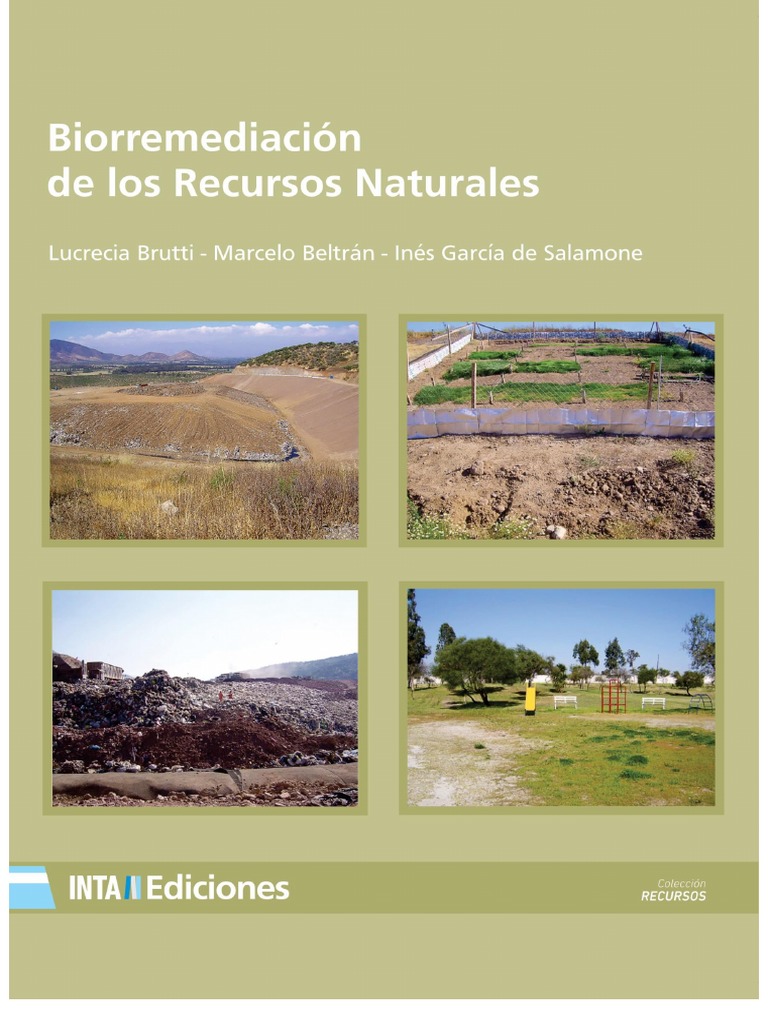Biorremediación de Recursos Naturales | PDF | Unidad de formación de ...