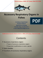 Accessory Respiratory Organs in Fishes