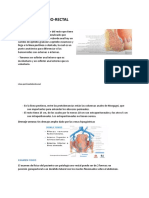 Patología Ano Rectal PDF