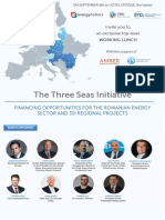 3 Seas Energynomics & CRE Side-Event Presentation
