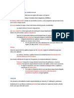 Sistema Cardiovascular