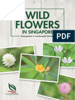 NParks - Wild Flowers E Book