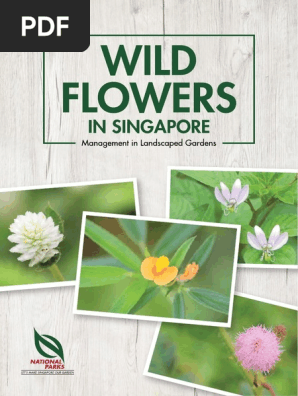NParks_Wild-Flowers-E-Book