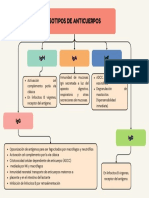 Isotipos de Anticuerpos