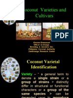 Coco Varieties