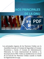 Derechos Humanos 8 Clase Organos Principales de La Onu