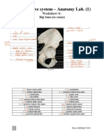 Anatomy Lab. (1) - Worksheets 7fd 