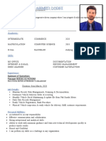 Haseeb Lodhi CV