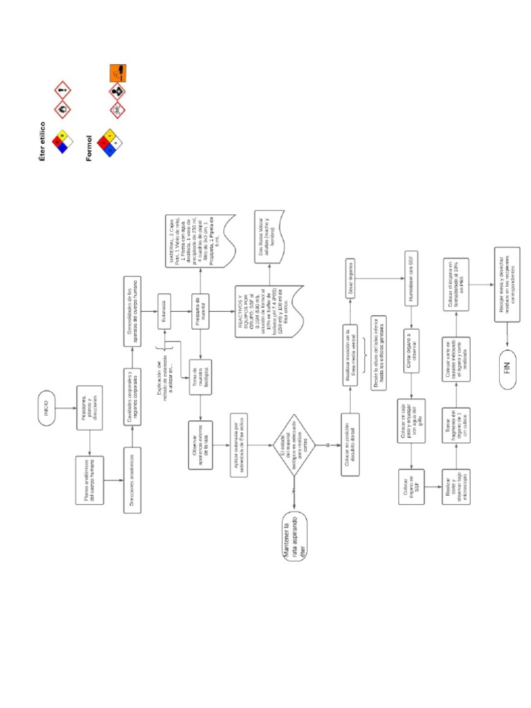 D pr ctica 2 pdf