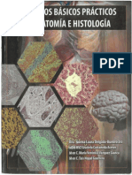 Principio Básicos Prácticos de Anatomía e Histología