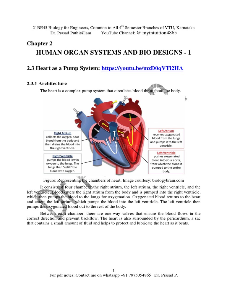 HEART | PDF | Heart | Artificial Cardiac Pacemaker
